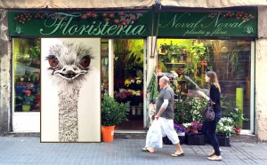 Street Art Barcelona
